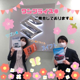 あなたはどれにする？アリーナ江東限定！ワンプライス車のご案内♪